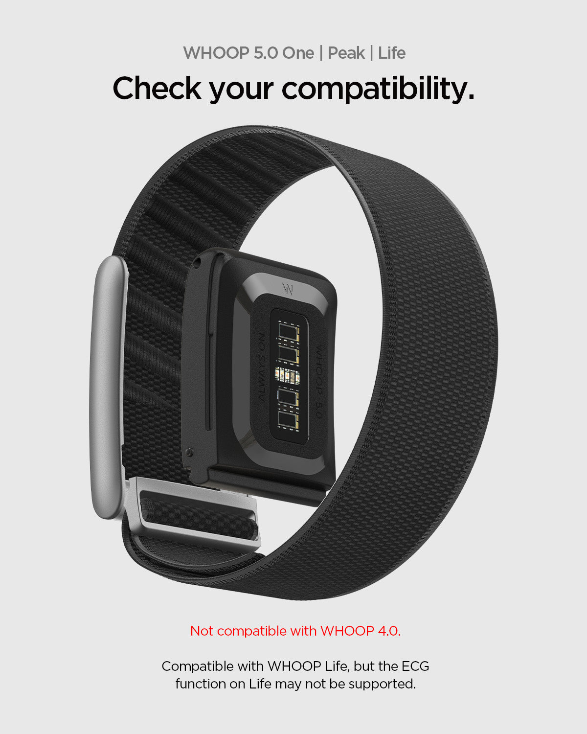 AMP10187 - WHOOP 5.0 compatible woven band shown with device module installed highlighting compatibility notice for WHOOP 5.0 One Peak and Life models and indicating not compatible with WHOOP 4.0 while noting limited ECG support on WHOOP Life